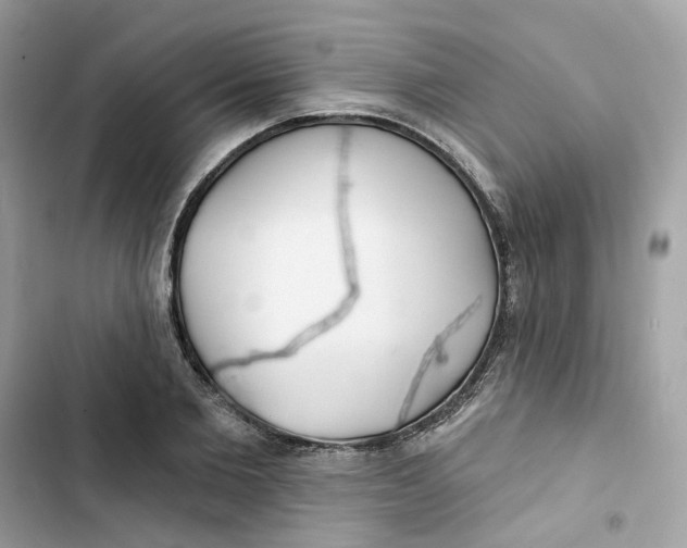 X0000103280885200809191803