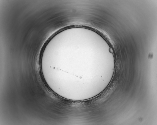 X0000103280887200809191803