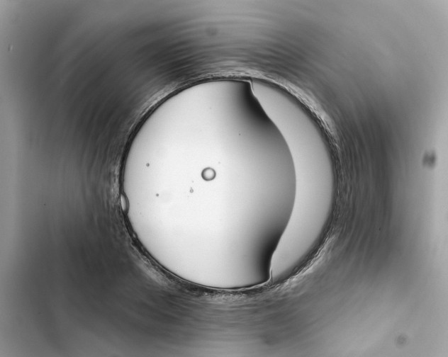 X0000103280889200809191803