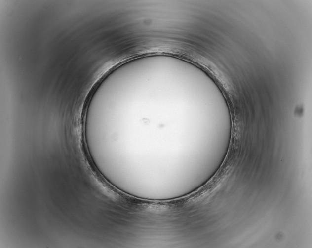 X0000103280890200809191803