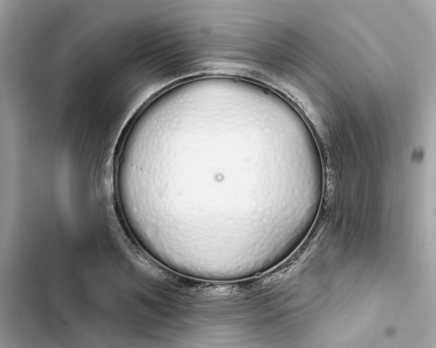 X0000103280891200809191803