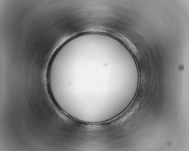 X0000103280893200809191803