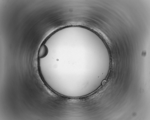 X0000103280894200809191803