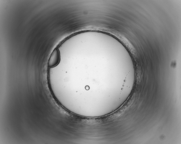 X0000103280896200809191803