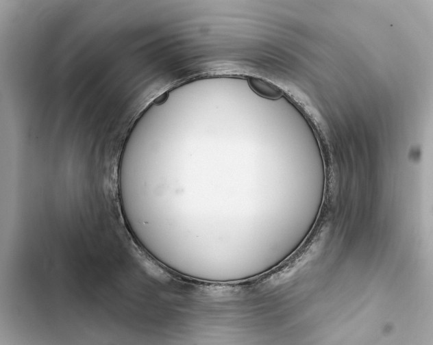 X0000103280897200809191803