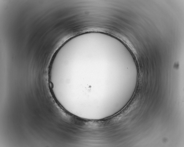 X0000103280898200809191803