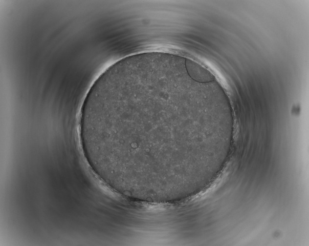 X0000103280899200809191803