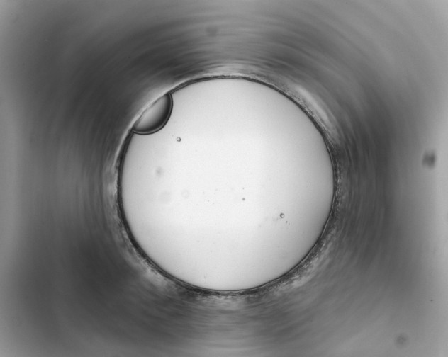 X0000103280900200809191803