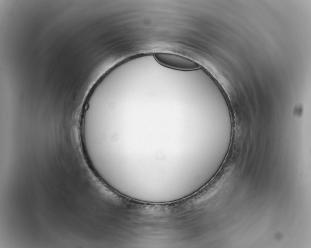 X0000103280901200809191803