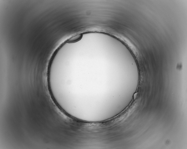 X0000103280902200809191803