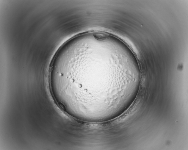 X0000103280903200809191803