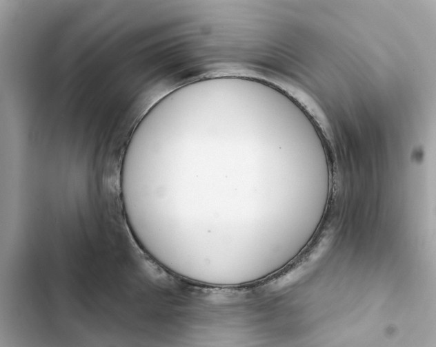 X0000103280905200809191803