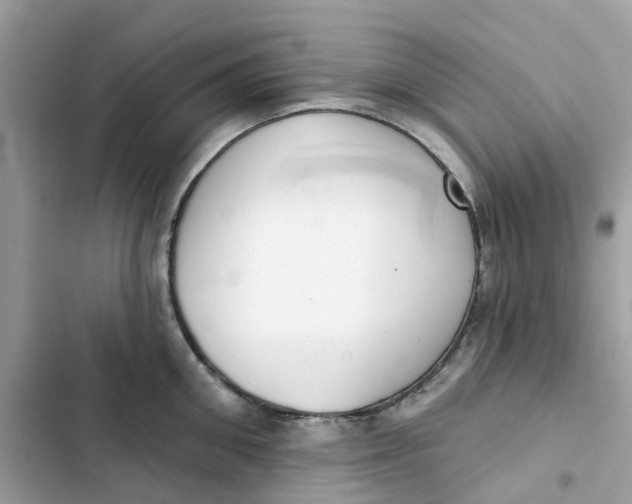 X0000103280906200809191803