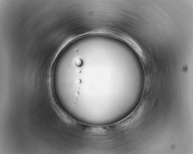 X0000103280907200809191803