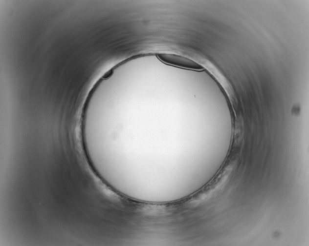 X0000103280909200809191803