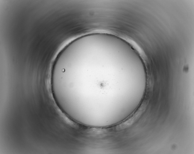 X0000103280910200809191803