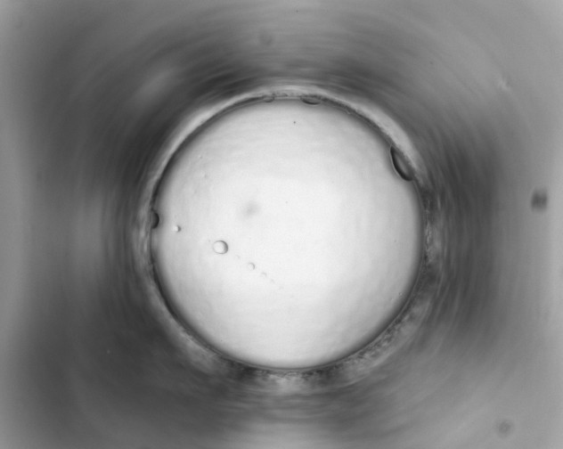 X0000103280911200809191803