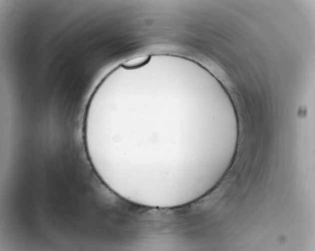 X0000103280912200809191803