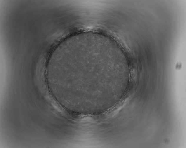 X0000103280913200809191802