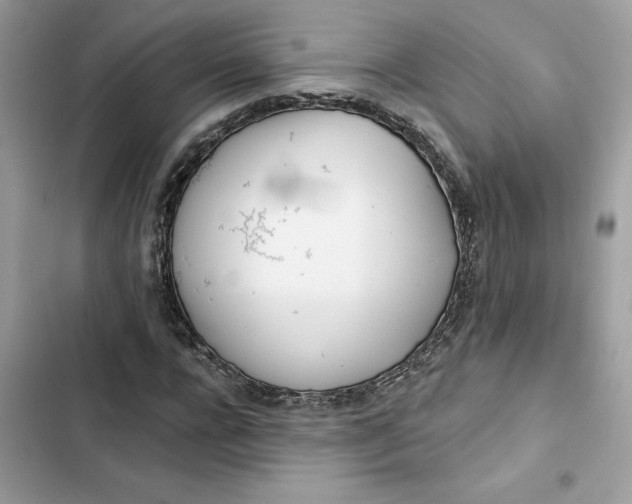 X0000103280920200809191802