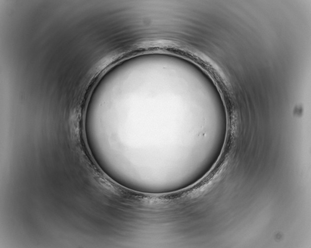 X0000103280921200809191802