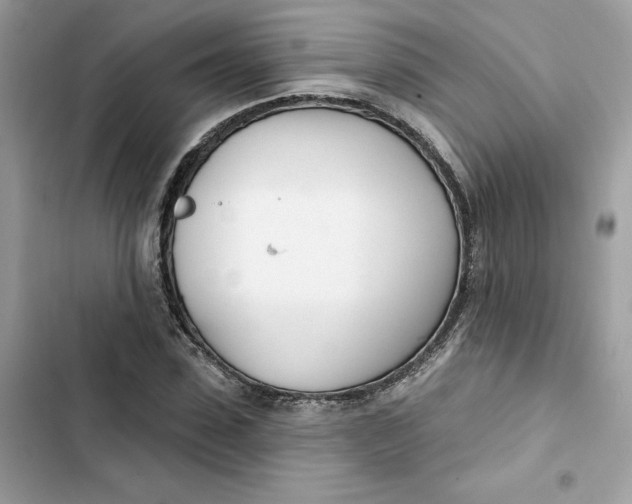 X0000103280923200809191802