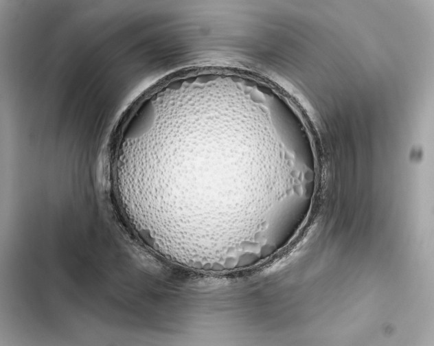 X0000103280925200809191802