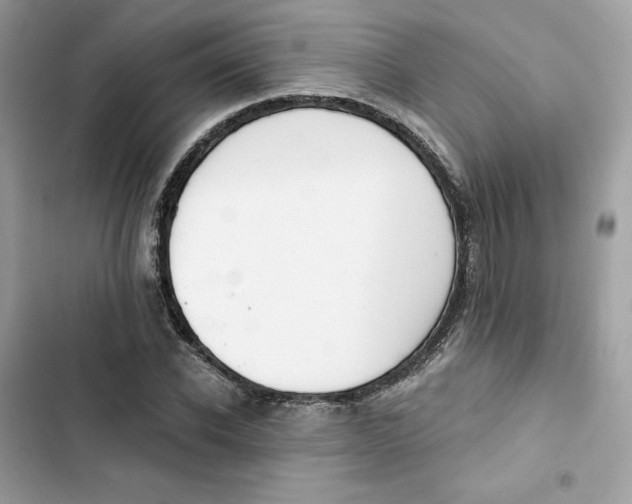 X0000103280926200809191802