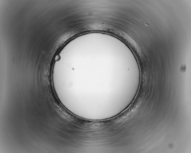 X0000103280930200809191803