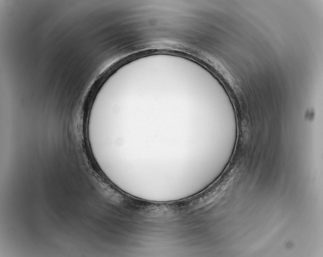 X0000103280931200809191803