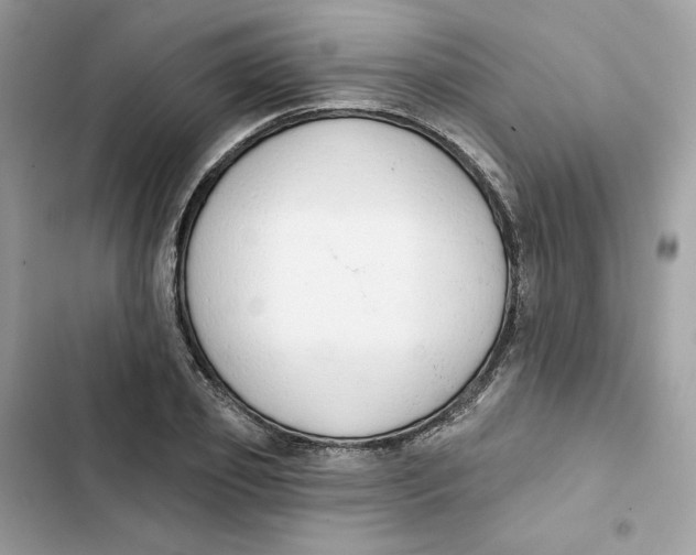 X0000103280933200809191803