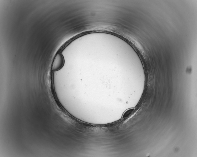 X0000103280936200809191803