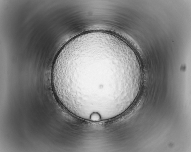 X0000103280937200809191803