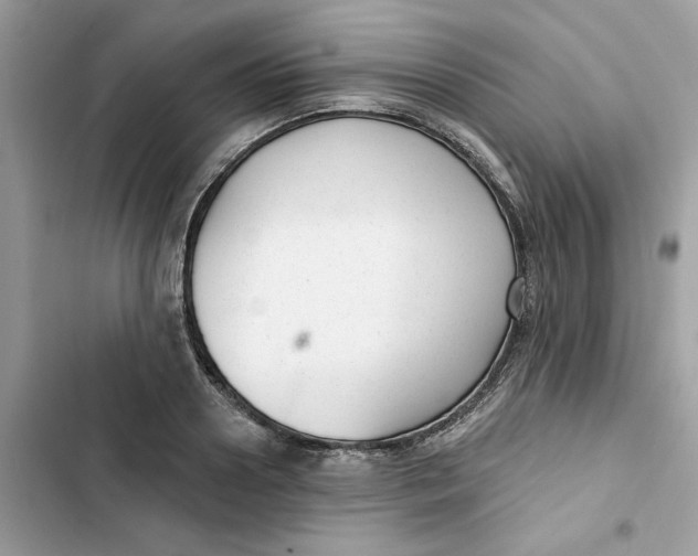 X0000103280938200809191803