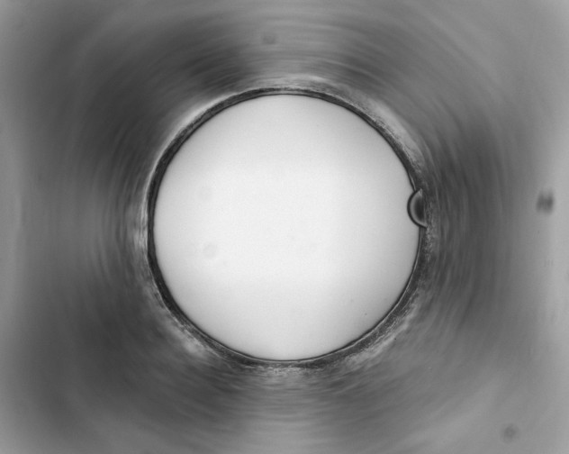 X0000103280940200809191803