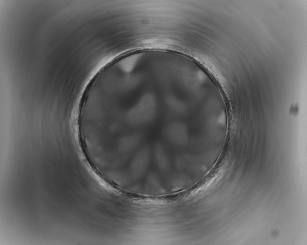 X0000103280941200809191803