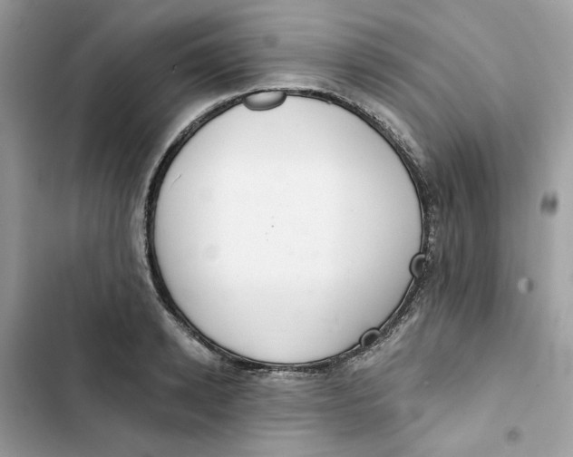 X0000103280942200809191803