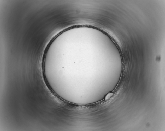 X0000103280943200809191803