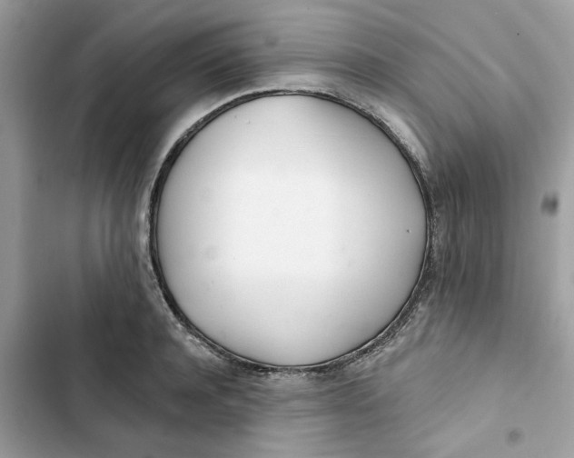 X0000103280944200809191803