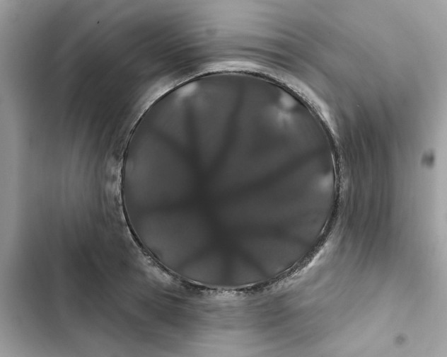 X0000103280945200809191803