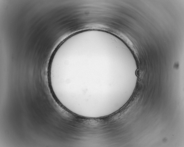 X0000103280947200809191803