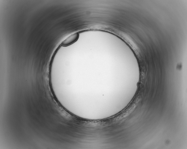 X0000103280948200809191803