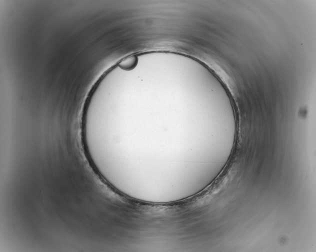 X0000103280949200809191803