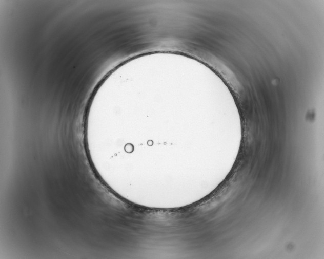 X0000103280950200809191803