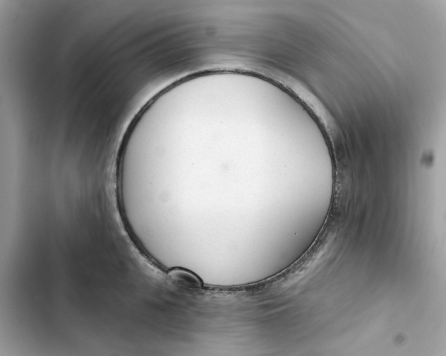 X0000103280951200809191803