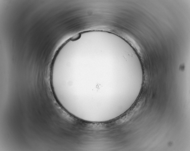 X0000103280952200809191803