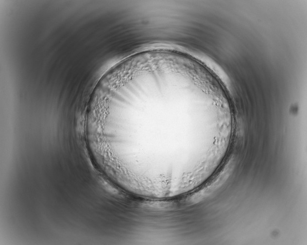 X0000103280953200809191803