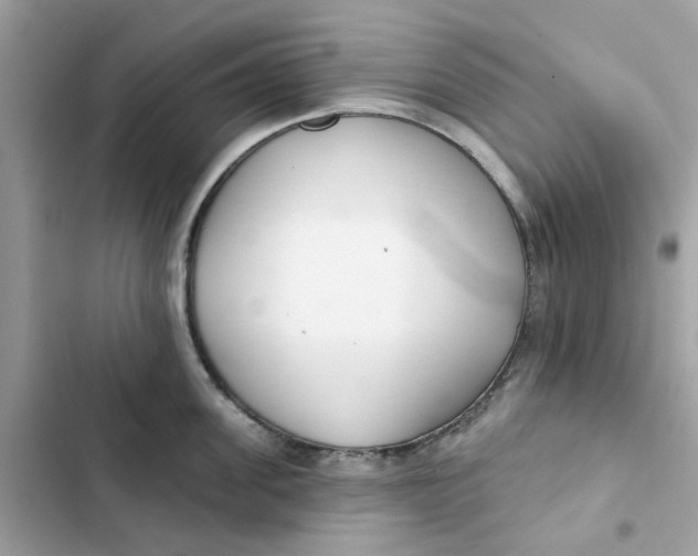 X0000103280955200809191803