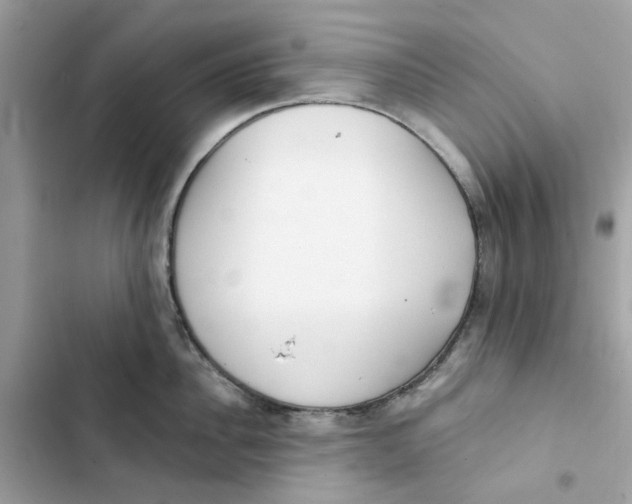 X0000103280956200809191803