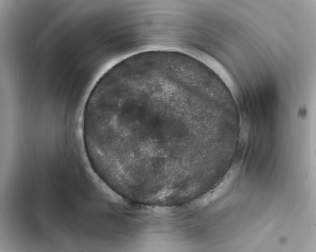 X0000103280958200809191803